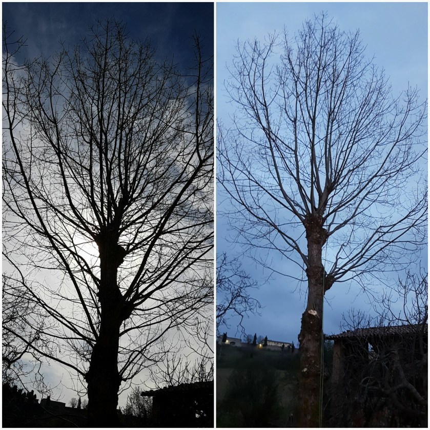 17493202_1790057294655582_6224286457954279003_o